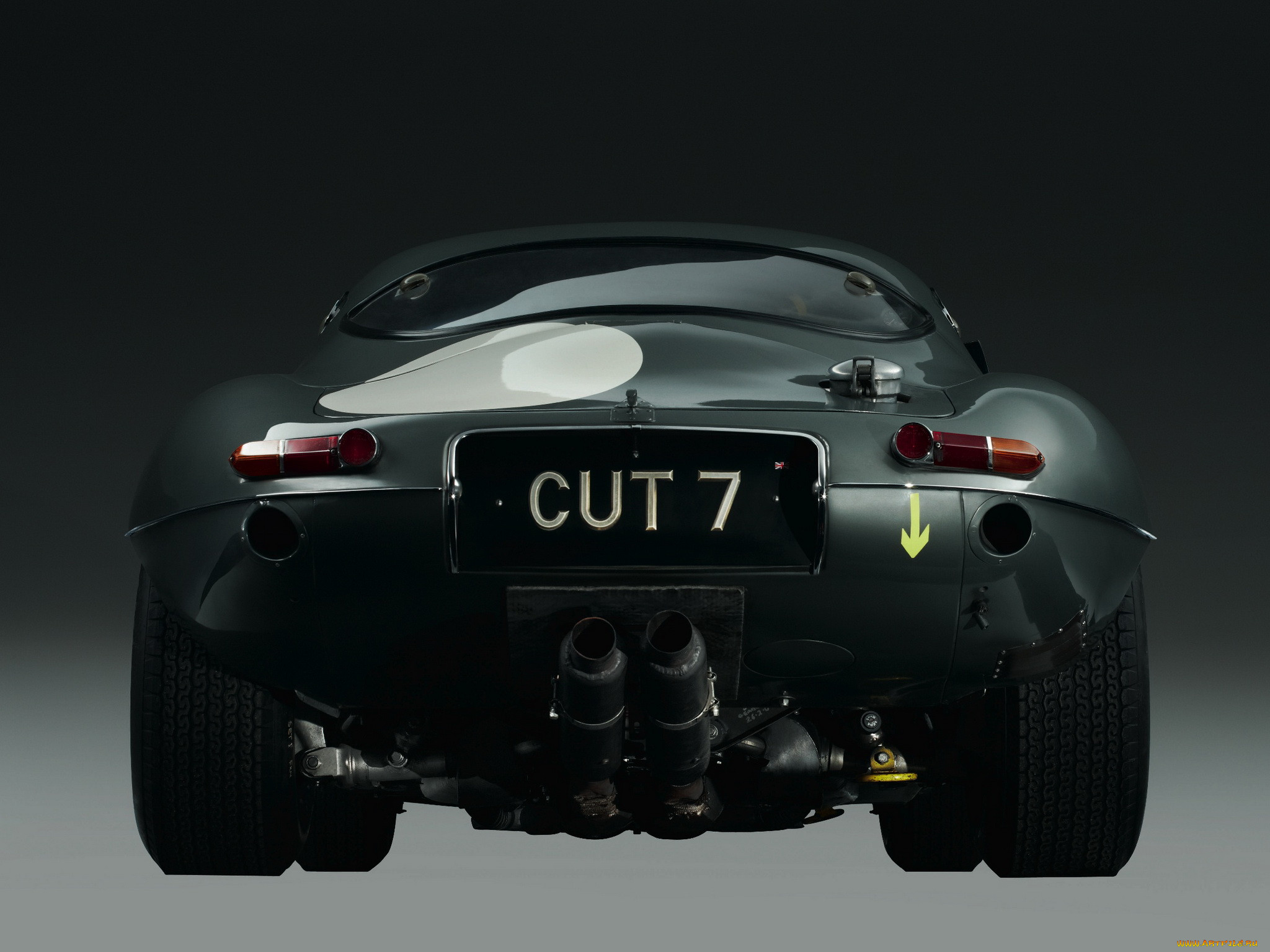 , jaguar